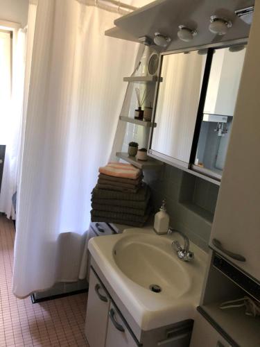 a bathroom with a sink and a mirror at Landhaus mitten in der Lüneburger Heide in Undeloh