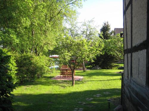 a view of a yard with a table and trees at Storchenblick in Schlepzig