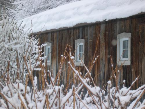 Chalets des Pins – Photos 5