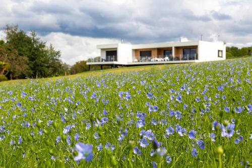 a house on a hill with a field of flowers at Les Gîtes du Cap Cod in Varengeville-sur-Mer