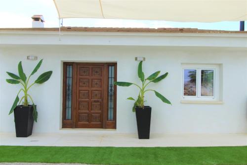 a house with two plants in front of a door at Villa Paradise , playa privada a 10 minutos de Sitges in Sant Pere de Ribes