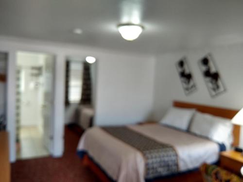 Habitación de hotel con cama y lámpara en Holiday Motel Bend, en Bend
