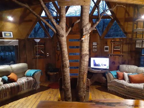 a living room with two couches and a tv at Domos Entre Bosques in Malalcahuello