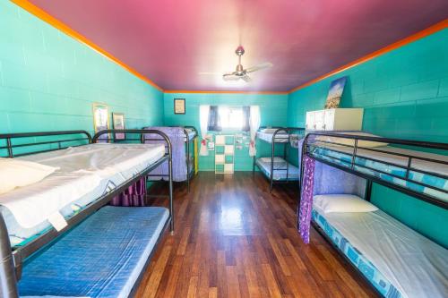 מיטה או מיטות קומותיים בחדר ב-Cool Bananas Backpackers