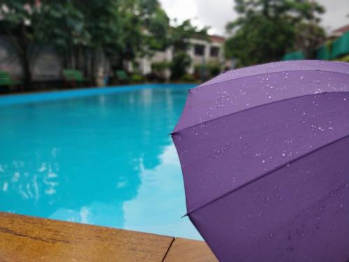 a purple umbrella in front of a swimming pool at Dew Drops Boutique Retreat in Igatpuri