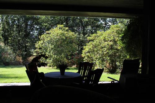 a table with a vase on it in front of a window at Haus Haase in Plettenberg