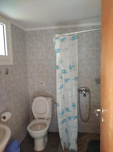 a bathroom with a toilet and a shower curtain at Aggeliki House 3 in Kómboi