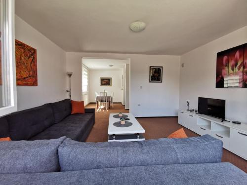 Una sala de estar con un sofá azul y una mesa. en Apartmani Marko, en Pale