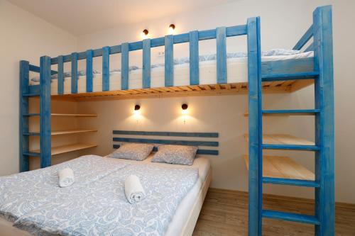 a bedroom with a bunk bed with a blue bunk ladder at Apartmány pod Mariánskými schody in Albrechtice v Jizerských horách