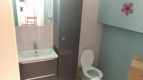 Baño pequeño con lavabo y aseo en Chambre privée dans maison centre-ville Sens Petit-déjeuner compris en Sens