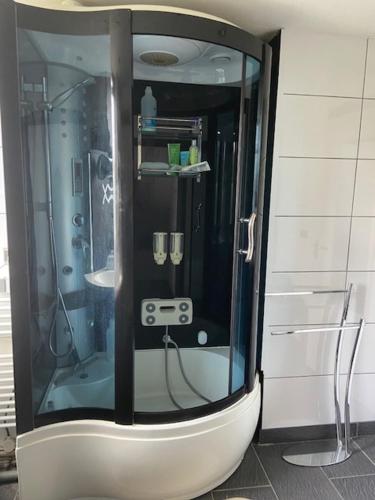 a glass shower in a bathroom with a sink at Characteristic detached house next to water in Zaandam