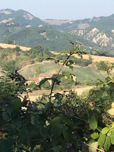 a view of a valley with mountains in the background at Monte Bibele in Monterenzio