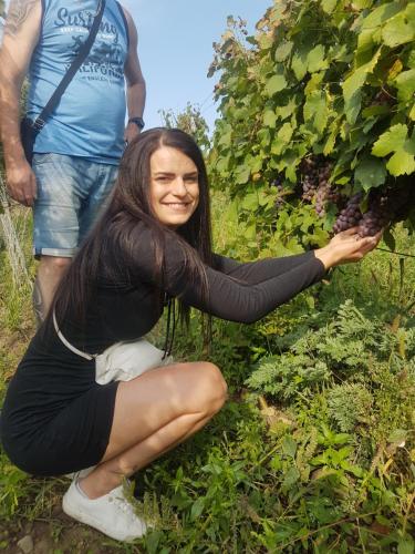 a woman sitting on the ground next to a bunch of grapes at Ubytování U Špačků Pálava in Novosedly