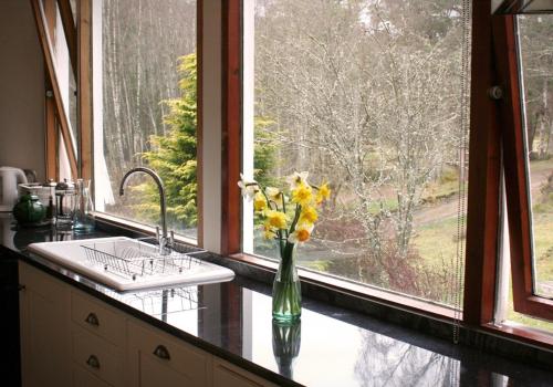 een vaas met bloemen op een toonbank naast een raam bij Cairngorm Lodge Rothiemurchus in Aviemore
