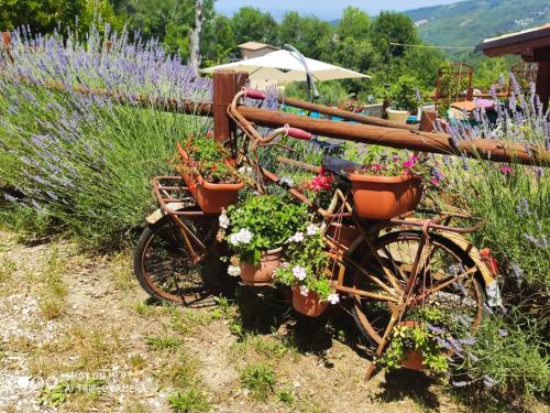 Κήπος έξω από το Country House Antiche Dimore