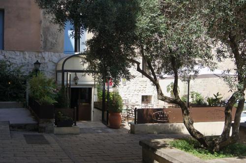 un bâtiment avec un arbre devant un bâtiment dans l'établissement Hôtel La Muette, à Arles