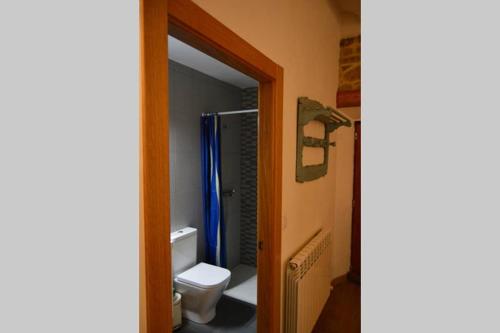 a bathroom with a toilet and a shower at Estudio Villazón in Obanos