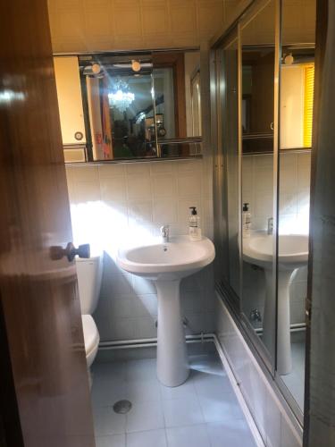 a bathroom with a sink and a toilet and a mirror at ALOJAMIENTO LA EXPLANADA in Pegalajar