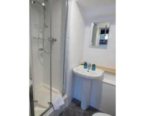 a bathroom with a shower and a sink and a toilet at The Chagford Inn in Chagford