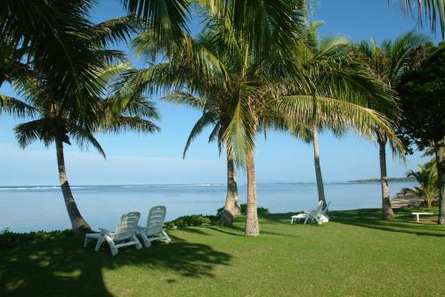 two chairs and palm trees on a lawn near the ocean at Bedarra Beach Inn in Korotogo