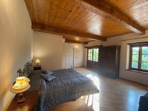 1 dormitorio con 1 cama grande en una habitación en Bed and Breakfast La Volpe tra le Vigne, en Castelnuovo Don Bosco