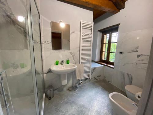 y baño con lavabo, ducha y aseo. en Bed and Breakfast La Volpe tra le Vigne, en Castelnuovo Don Bosco
