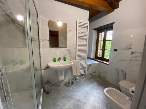 a bathroom with a sink and a shower and a toilet at Bed and Breakfast La Volpe tra le Vigne in Castelnuovo Don Bosco