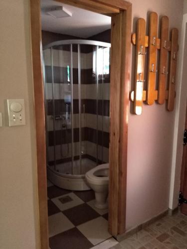 a bathroom with a toilet in a room at Simic Apartmani Tara in Kaludjerske Bare