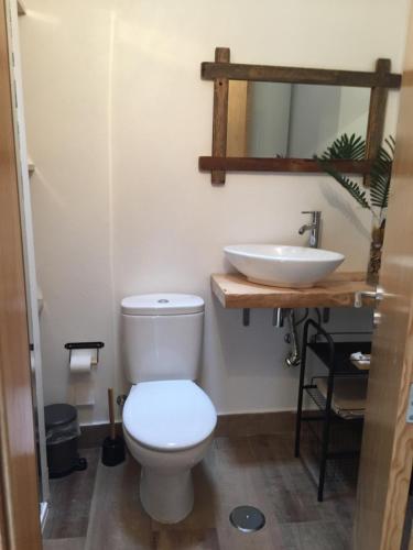 La salle de bains est pourvue de toilettes et d'un lavabo. dans l'établissement Lambisco- Alojamento local, à Alfândega da Fé