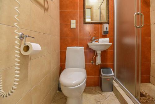 a bathroom with a toilet and a sink at KUBU Loft in Klaipėda