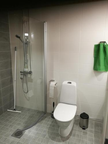 a bathroom with a shower with a toilet and a shower at StarHomes Double lux 7 in Oulu