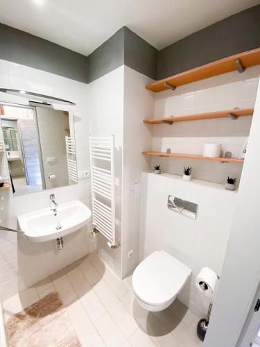 a bathroom with a toilet and a sink at Miky Apartmán Klínovec in Loučná pod Klínovcem