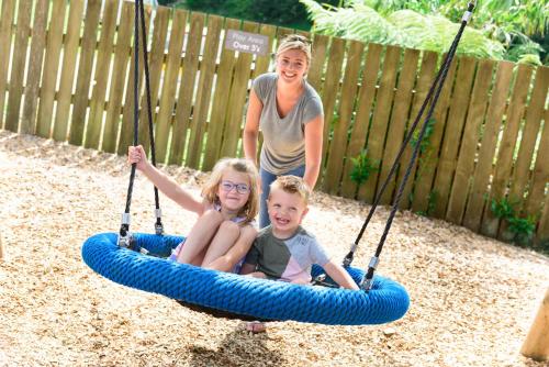 two children playing on a swing set with a woman at The Britannia Inn & Waves Restaurant in St Austell