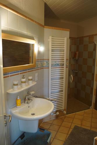 a bathroom with a sink and a shower at Ferienwohnung in Drentwede in Drentwede