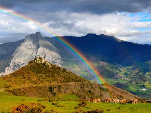 a rainbow over a field with cattle and a mountain at Casa Rural el Enebral en Potes Picos de Euopa in Colio