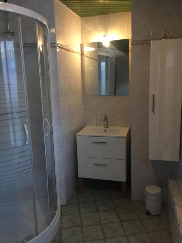 a bathroom with a sink and a shower at Joli appartement de 60m2 avec Balcon à la campagne in Courson-les-Carrières