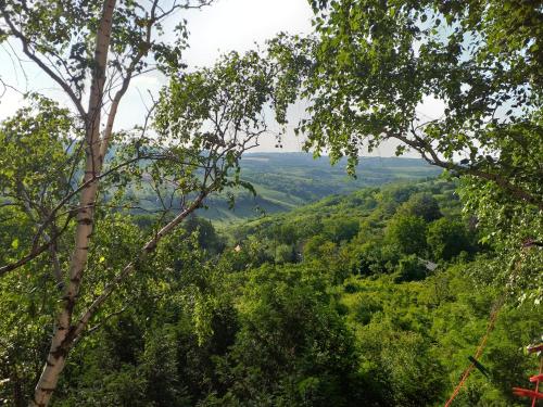 Un paisaje natural cerca de la casa vacacional