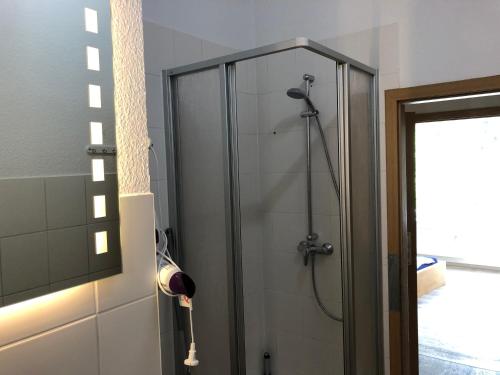 a shower in a bathroom with a glass door at Ruhige EG Wohnung bei der Burg in Kröllwitz
