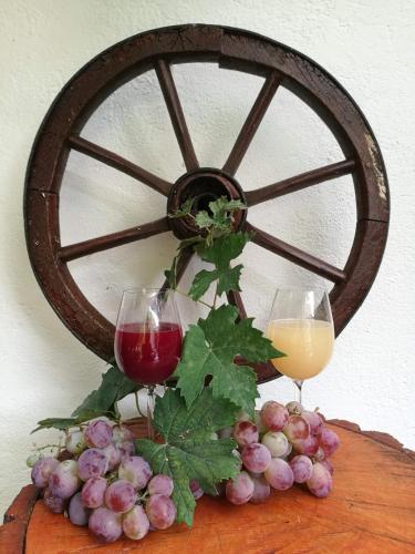 two glasses of wine and grapes on a table at Ubytování U Špačků Pálava in Novosedly