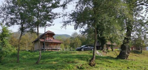a car parked in front of a house at Vikendica Pored Drine in Crvica