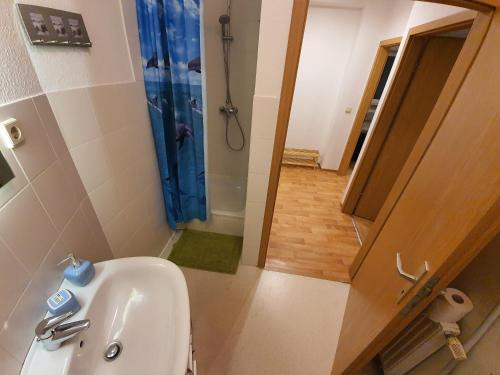 a bathroom with a toilet and a sink and a shower at Ruhige Wohnung bei der Burg im OG1 in Kröllwitz