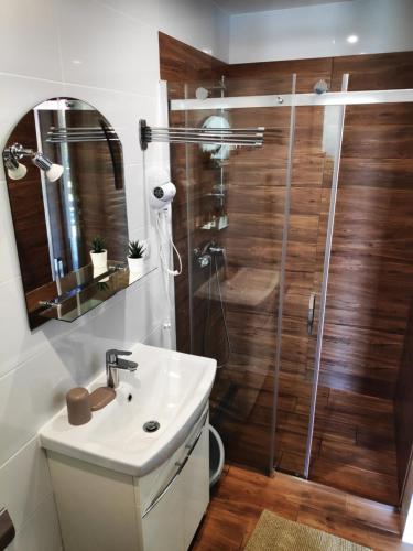 a bathroom with a shower and a white sink at Apartamenty Zatoka Relaksu in Polańczyk