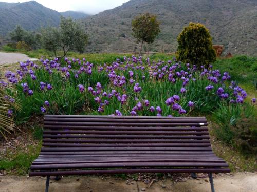 a wooden bench in front of a field of flowers at El Retiro de Isabel in Embid de la Ribera