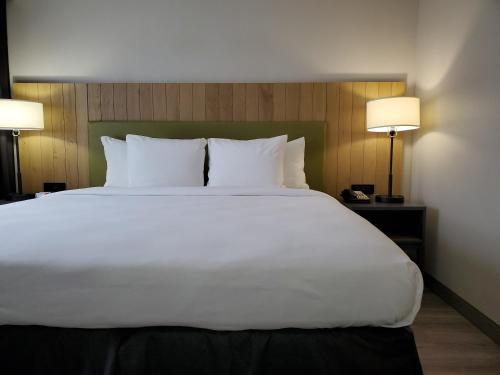 a large white bed in a hotel room with two lamps at Country Inn & Suites by Radisson, Buford at Mall of Georgia, GA in Buford