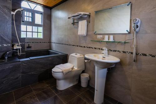 ein Bad mit einem WC, einem Waschbecken und einer Dusche in der Unterkunft Brest Bed & Breakfast in Puli