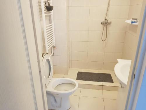 a small bathroom with a toilet and a sink at Apartament 1 Central in Târgu-Mureş