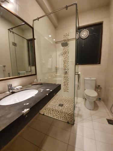 a bathroom with a sink and a shower and a toilet at S Chalet Islamabad in Islamabad
