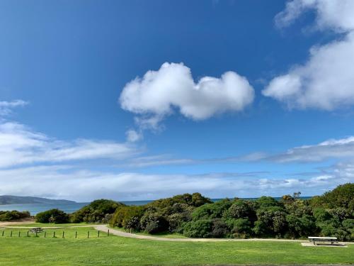 
a grassy field with trees and a sky background at Apollo Bay Waterfront Motor Inn in Apollo Bay
