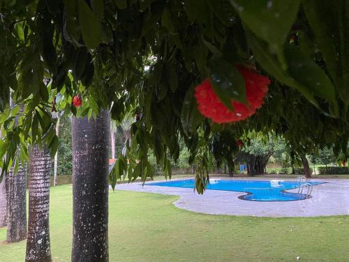 Hotel KPM Tripenta – Photos 4