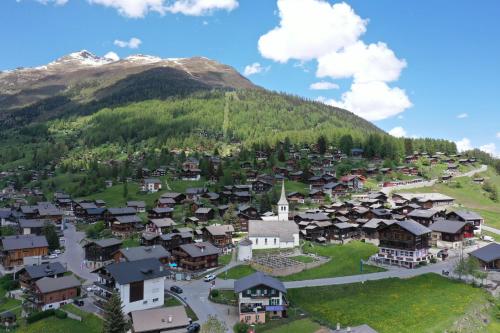 ベルヴァルトにあるFerienwohnung Alter Konsumの山の前の小さな村の空中風景
